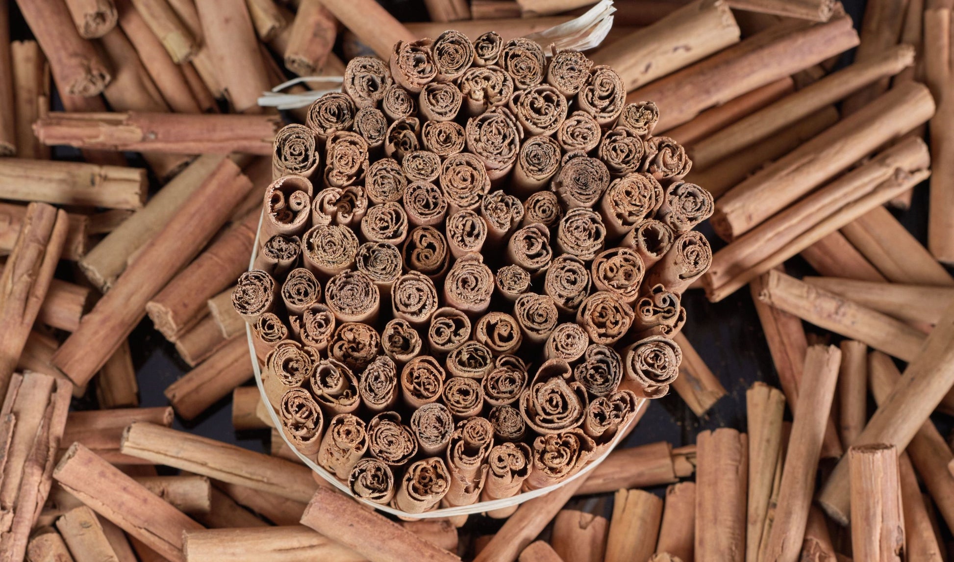 Cinnamon - Ceylon from Madagascar - Vanille Vanille