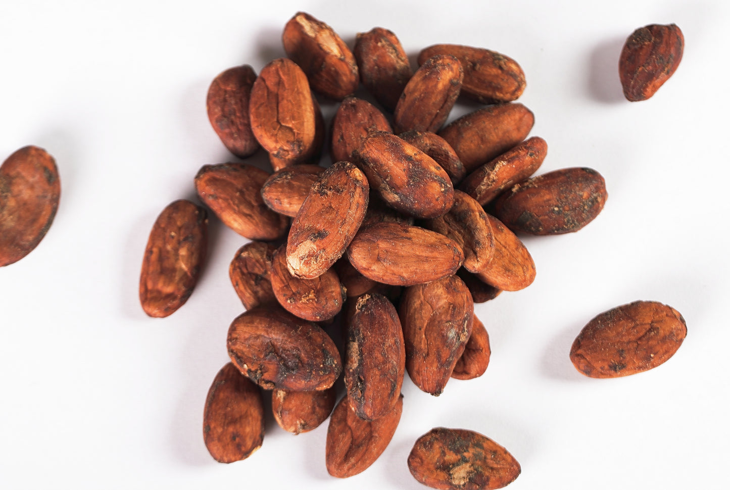 Cacao Beans - Whole from Soconusco, Mexico - Vanille Vanille