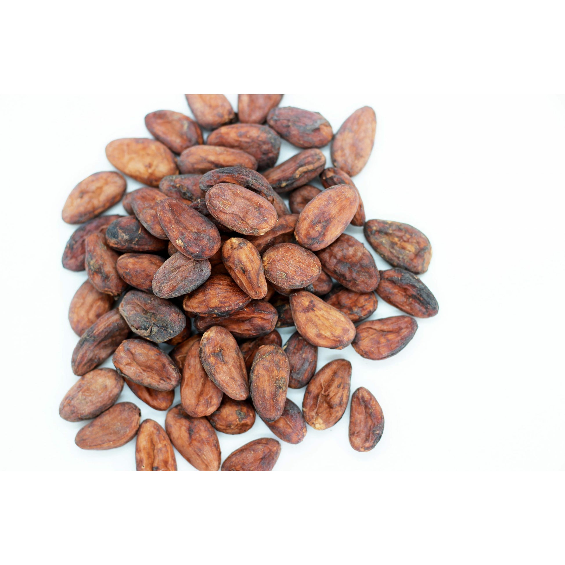 Cacao Beans - Whole from Soconusco, Mexico