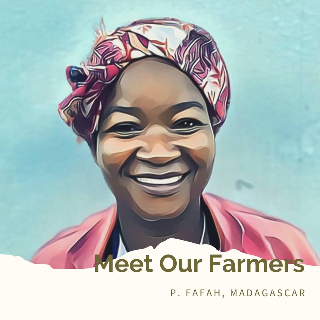 Meet Our Farmers - P. Fafah