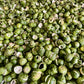 Kaffir Lime from Madagascar - Vanille Vanille