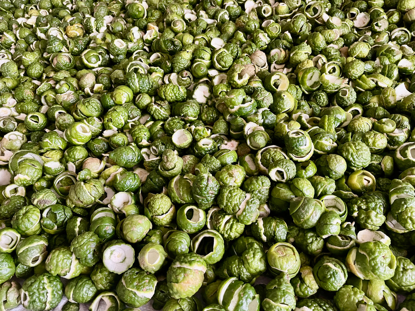 Kaffir Lime from Madagascar - Vanille Vanille