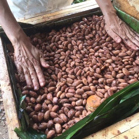 Cacao Real Nibs - from Soconusco, Mexico