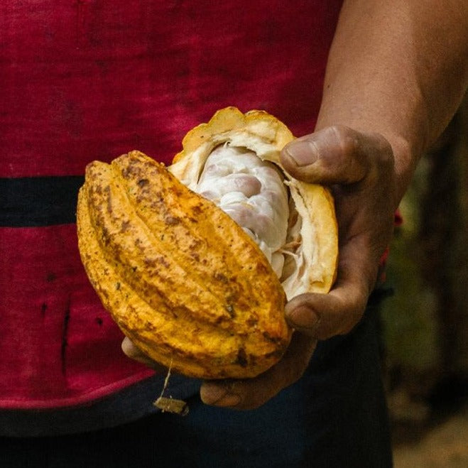 Cacao Husk, from Soconusco - Vanille Vanille