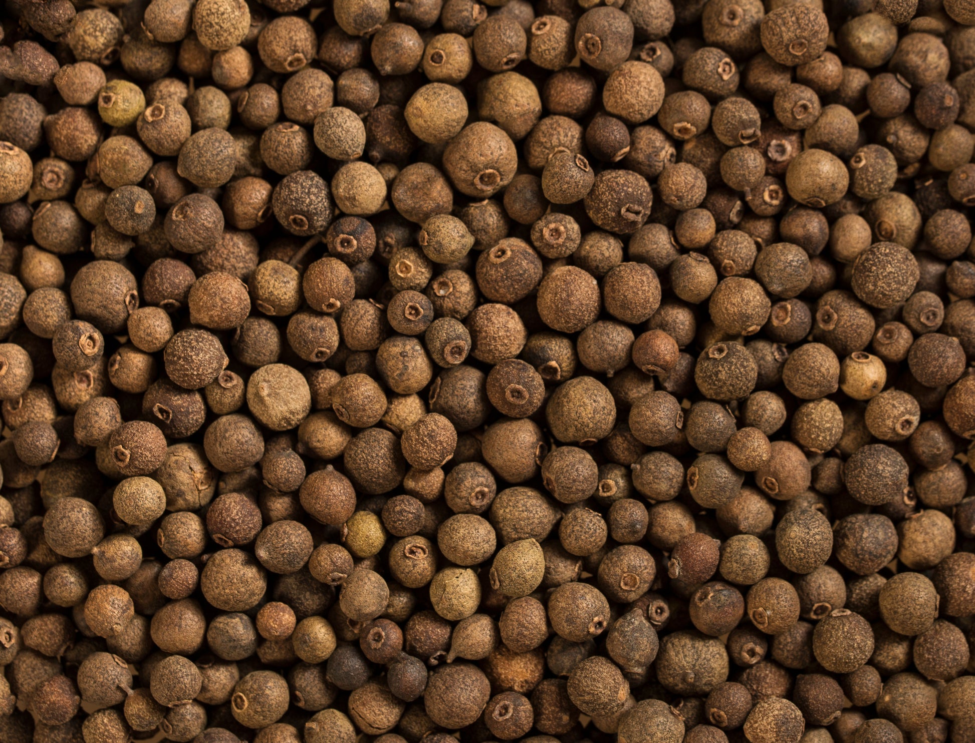 Allspice from Mexico - Vanille Vanille